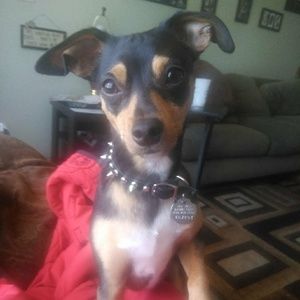 Meet your Posher, Regine